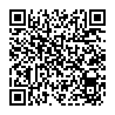 QR-код ссылки на материал «В день рождения Виктора Цоя в Дзержинске прошел концерт его памяти»