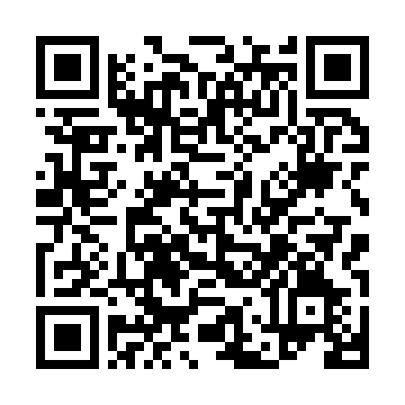 QR-код ссылки на материал «Красочное лето: более 70% клумб Дзержинска украшены цветами»