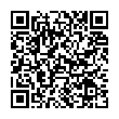 QR-код ссылки на материал «Крылатый пассажир. Видеонаблюдения дзержинских водителей»