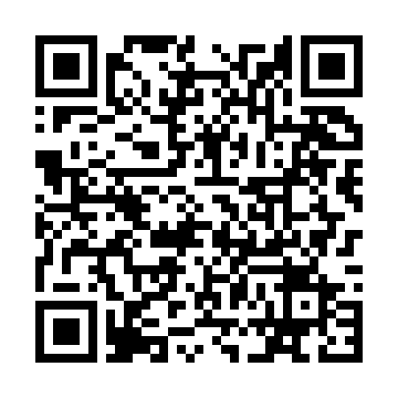 QR-код ссылки на материал «В Дзержинске подвели итоги Единого госэкзамена»