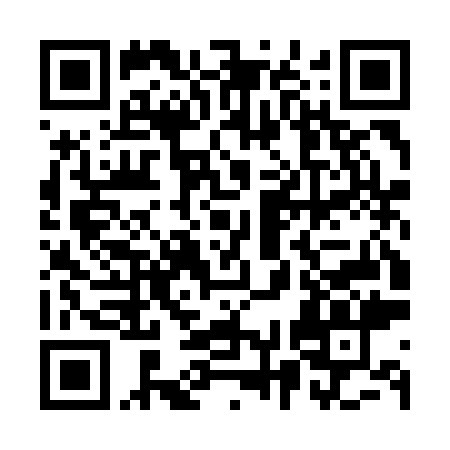 QR-код ссылки на материал «Дзержинск сегодня: полная версия выпуска 8 ноября»