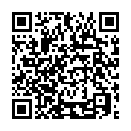 QR-код ссылки на материал «Не у нас: по заснеженным улицам Гатчины разгуливал дикобраз»