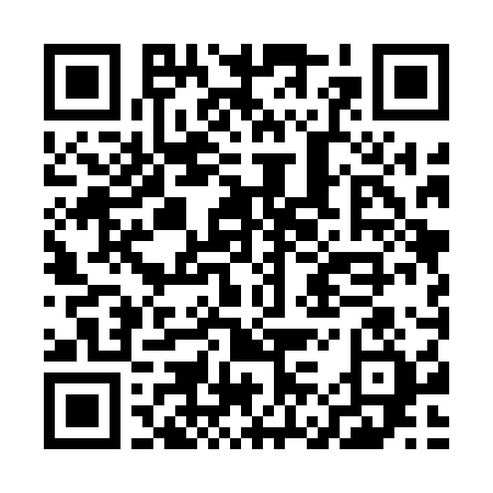 QR-код ссылки на материал «Дзержинск сегодня: полная версия выпуска 20 декабря»