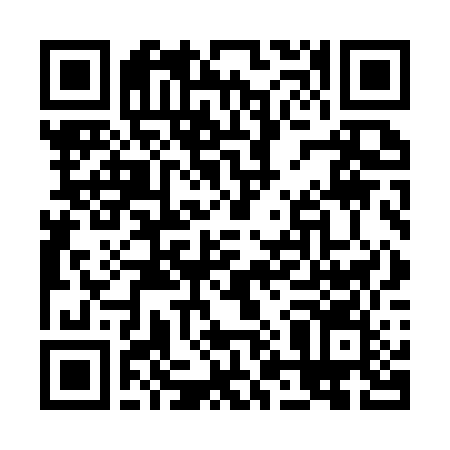 QR-код ссылки на материал «Вторая жизнь: контейнеры по приему елок работают в Дзержинске»