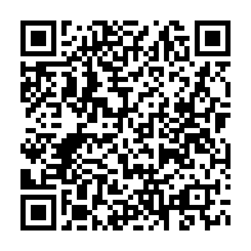 QR-код ссылки на материал «Победная борьба: чемпионат России по дзюдо среди ветеранов принес золото дзержинцу Александру Парамонову»