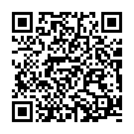QR-код ссылки на материал «Спецслужбы проверили все сообщения о бомбах в Дзержинске»