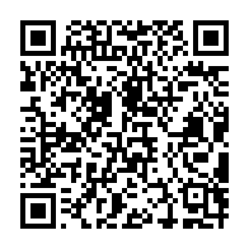 QR-код ссылки на материал «Вызов звезде: Лиза Бурлакова из Решетихи перепела Ларису Долину со счетом 3:2»