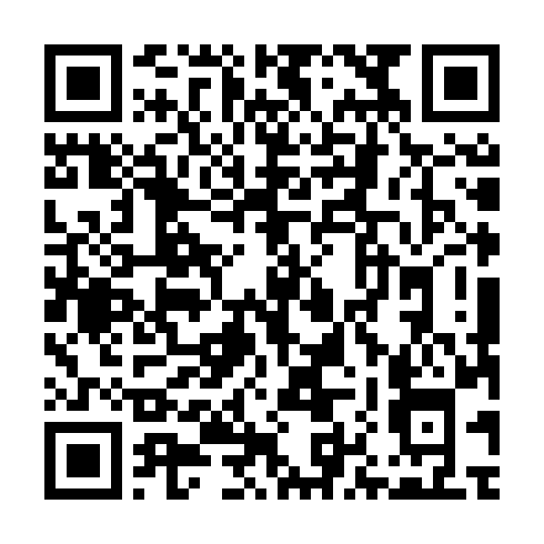 QR-код ссылки на материал «Праздничный марафон: как Дзержинск отмечал Новый год и Рождество»