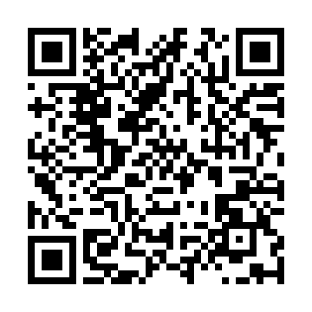 QR-код ссылки на материал «Автомобиль провалился в Дзержинске на улице Студенческой»