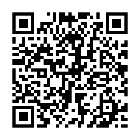 QR-код ссылки на материал «Дзержинск сегодня: полная версия выпуска 13.06.2024»