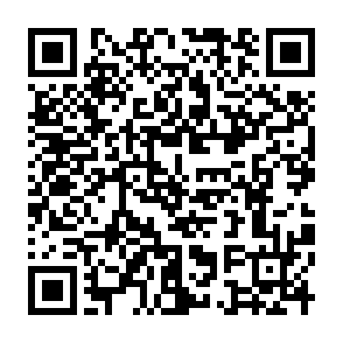 QR-код ссылки на материал «Экскурс в историю: аллею «Дзержинск - столица советской химии» открыли в центре города»