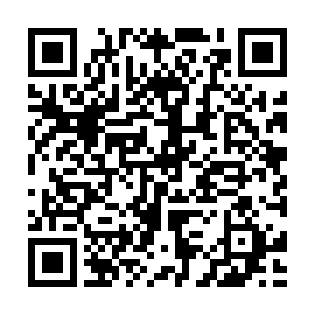 QR-код ссылки на материал «Дзержинск сегодня: полная версия выпуска 12.07.2024»