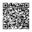 QR-код ссылки на материал «Найден, жив! 11-летнего мальчика больше суток искали в Дзержинске»
