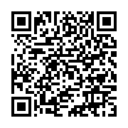 QR-код ссылки на материал «Дзержинск сегодня: полная версия выпуска 26.11.2024»