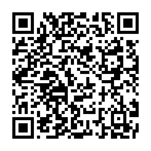 QR-код ссылки на материал «Зимняя квартира: пара белых лебедей осваивает новое жилище в Дзержинске»