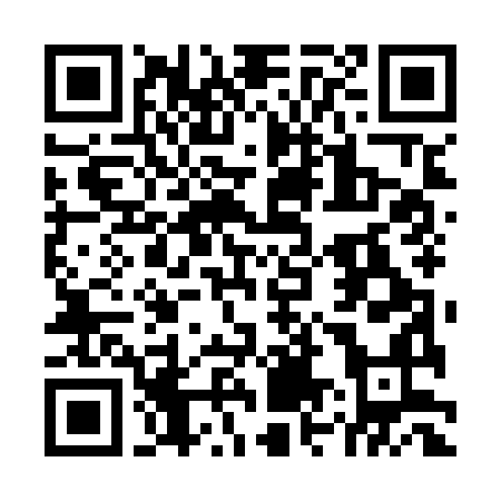 QR-код ссылки на материал «Дзержинску 95: исторические поправки и уникальные находки»