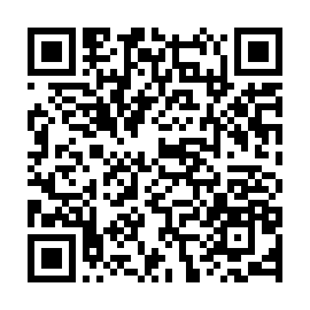 QR-код ссылки на материал «В Дзержинске пьяный водитель протаранил пассажирский автобус»