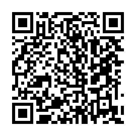 QR-код ссылки на материал «День города 2025: Никита Шулкин. О футболе и о Дзержинске»