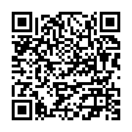 QR-код ссылки на материал «День города 2025: вечерний концерт на площади Дзержинского»