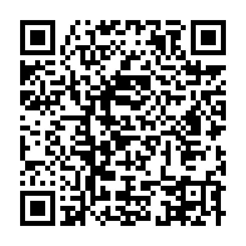 QR-код ссылки на материал «Разбирались в трагедии: слушания по делу о смертельном ДТП начались в Дзержинском суде»