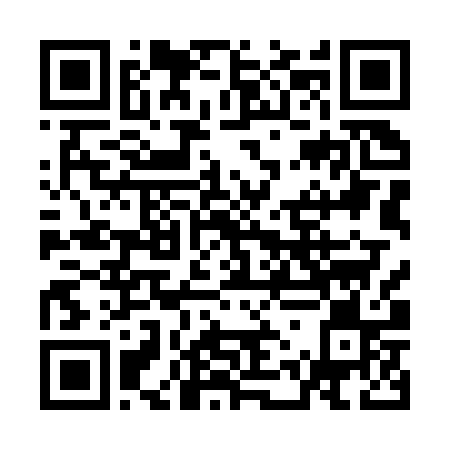 QR-код ссылки на материал «В Дзержинском музыкальном колледже звучала домра»