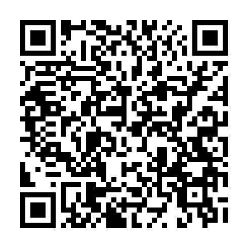 QR-код ссылки на материал «Победить болезнь: Софье Машуковой вновь требуется помощь неравнодушных дзержинцев»