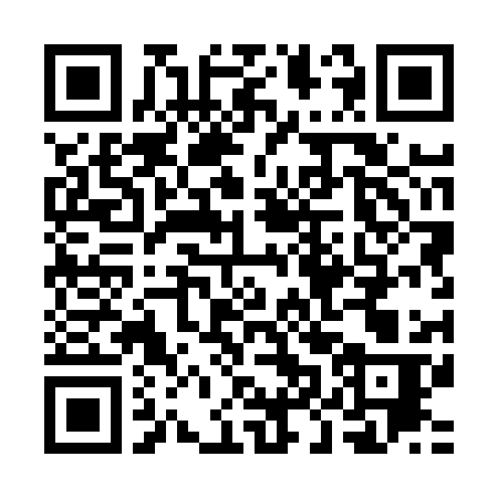 QR-код ссылки на материал «В Дзержинске подожгли пустующее здание автодрома «Светофор»»