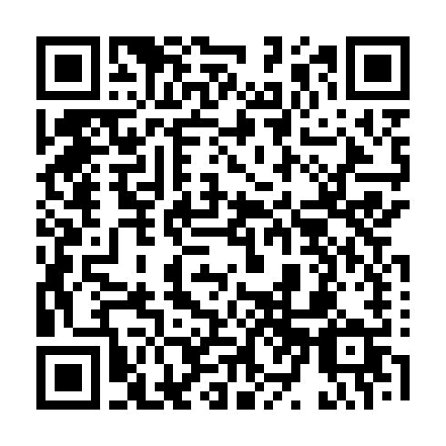 QR-код ссылки на материал «В Нижнем Новгороде неизвестный оставил мертвых голубей у здания Почты России»