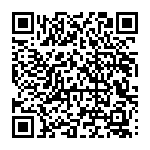 QR-код ссылки на материал «Воспитанник дзержинской «Магнитной стрелки» Никита Губин настрелял на серебро»