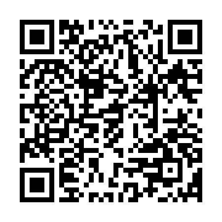 QR-код ссылки на материал «Есть вопросы: выборы в Дзержинске. Отвечает Наталья Самарская»