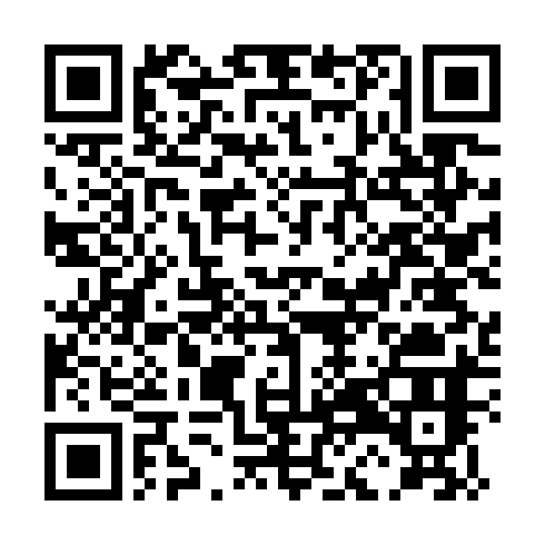 QR-код ссылки на материал «СвадьбаФест. Парад талантов дзержинского шоу-бизнеса прошел в Дзержинске»