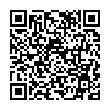 QR-код ссылки на материал «Виктор Нестеров и Сергей Попов проголосовали в Дзержинске»