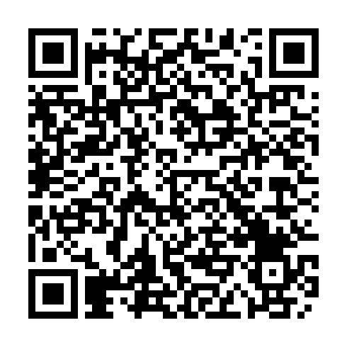 QR-код ссылки на материал «Иностранцы рассказали, чем дзержинский детский дом отличается от зарубежных»
