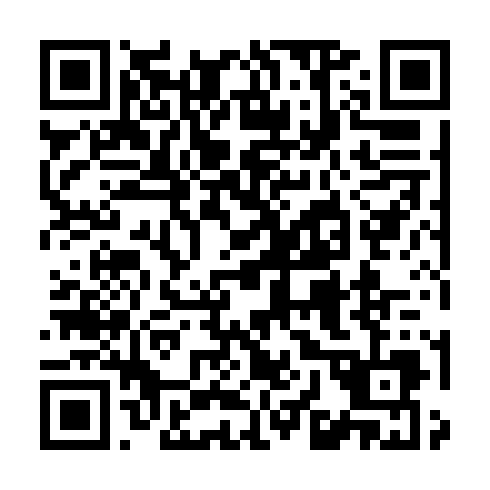 QR-код ссылки на материал «На площади Дзержинского автоледи на иномарке снесла цветочные арки»
