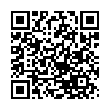 QR-код ссылки на материал «ЧМ по футболу принес Нижегородской области 9 млрд рублей прибыли»