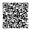 QR-код ссылки на материал «В Дзержинске иномарка сбила бабушку с внуком»