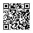QR-код ссылки на материал «Как россияне будут отдыхать в ноябре»