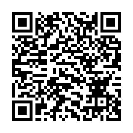 QR-код ссылки на материал «Дзержинские чирлидеры вернулись с первенства ПФО с медалями»