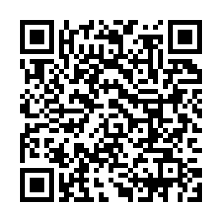 QR-код ссылки на материал «В одном из домов Дзержинска пришлось провести дезинфекцию»