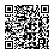 QR-код ссылки на материал «На Московском шоссе большегруз протаранил легковой «Хендай»»
