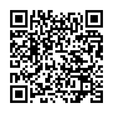 QR-код ссылки на материал «В Дзержинске отметили Всероссийский день баяна»
