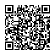 QR-код ссылки на материал «На Автозаводском шоссе столкнулись иномарка и «Газель»»