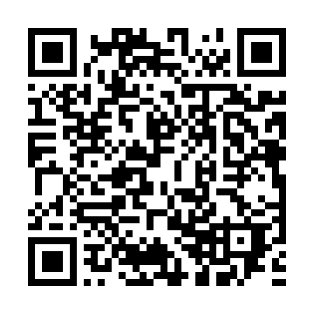 QR-код ссылки на материал «В Дзержинске прошел Кубок губернатора по сумо»