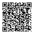 QR-код ссылки на материал «Дзержинск готовится к Новому году. Дом деда Мороза, шикарная карета и сотни метров иллюминации»