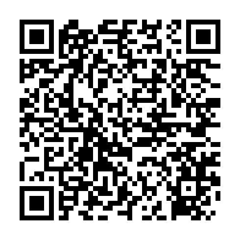 QR-код ссылки на материал «Итоги года. Происходящее в Дзержинске обсуждали даже в Кремле»