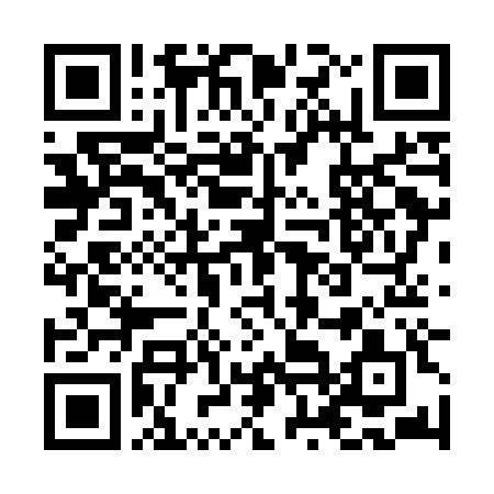 QR-код ссылки на материал «Склады названы эпицентром взрыва на дзержинском «Кристалле»»