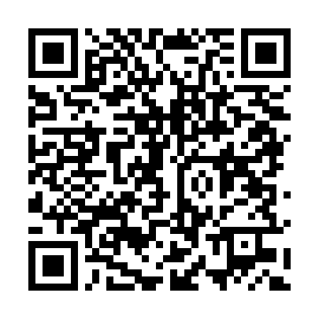 QR-код ссылки на материал «Сорванный рейс. На Кстовской трассе большегруз съехал в кювет»