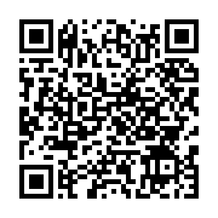 QR-код ссылки на материал «Дзержинские ватерполисты  - четвёртые на домашнем турнире»