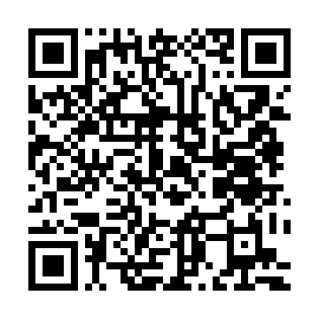 QR-код ссылки на материал «На фоне триколора: акция «Флаг моей страны» прошла в Дзержинске»
