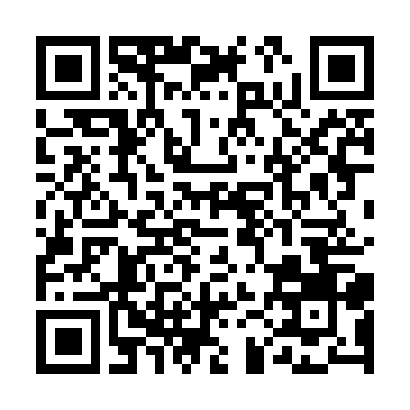 QR-код ссылки на материал «В Дзержинске на ул. Буденного в шахте теплопункта горел мусор»